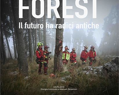 Film: Forest - il futuro ha radici antiche
