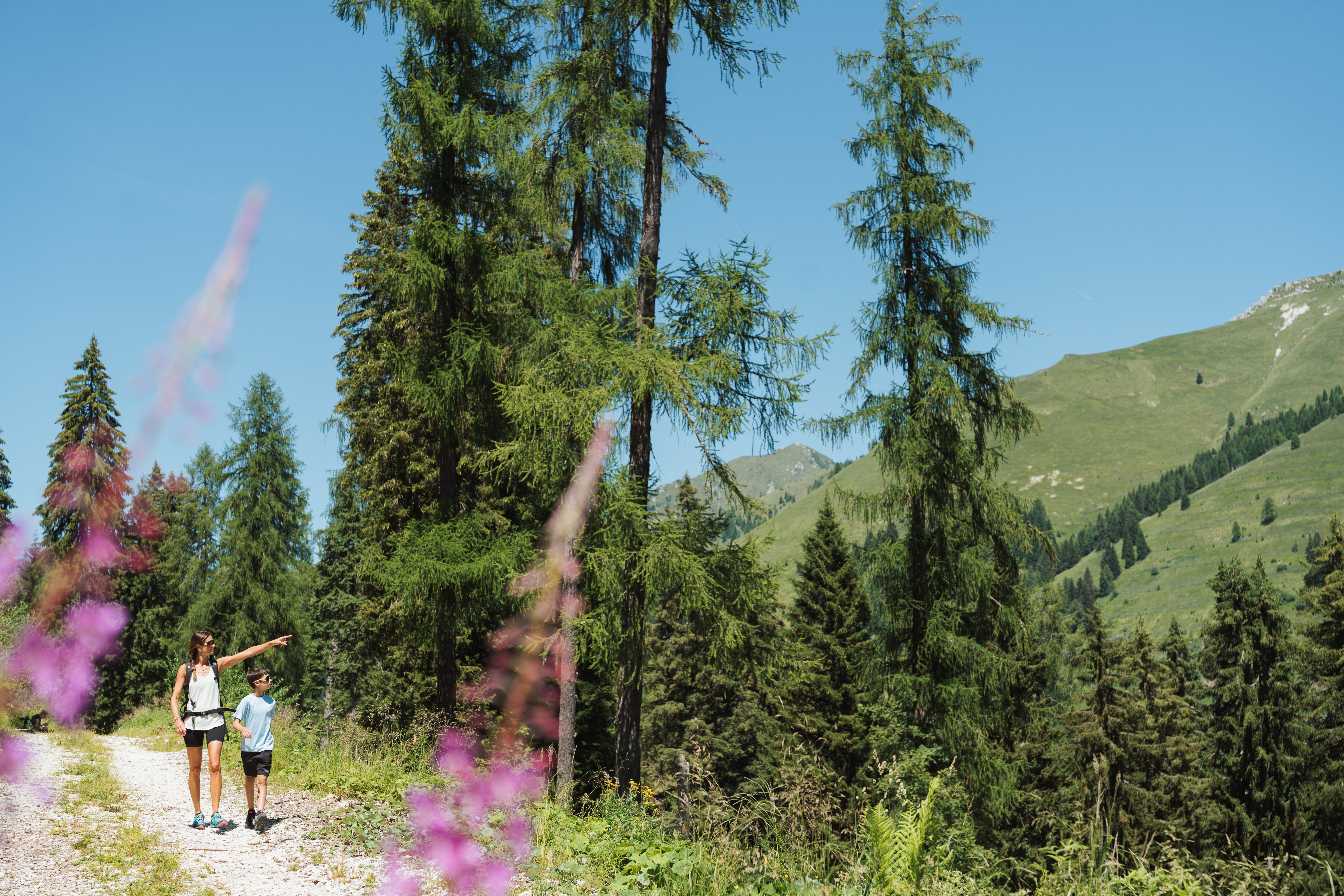 Escursioni facili in Trentino lungo un sentiero panoramico della Valsugana adatto a famiglie e principianti.