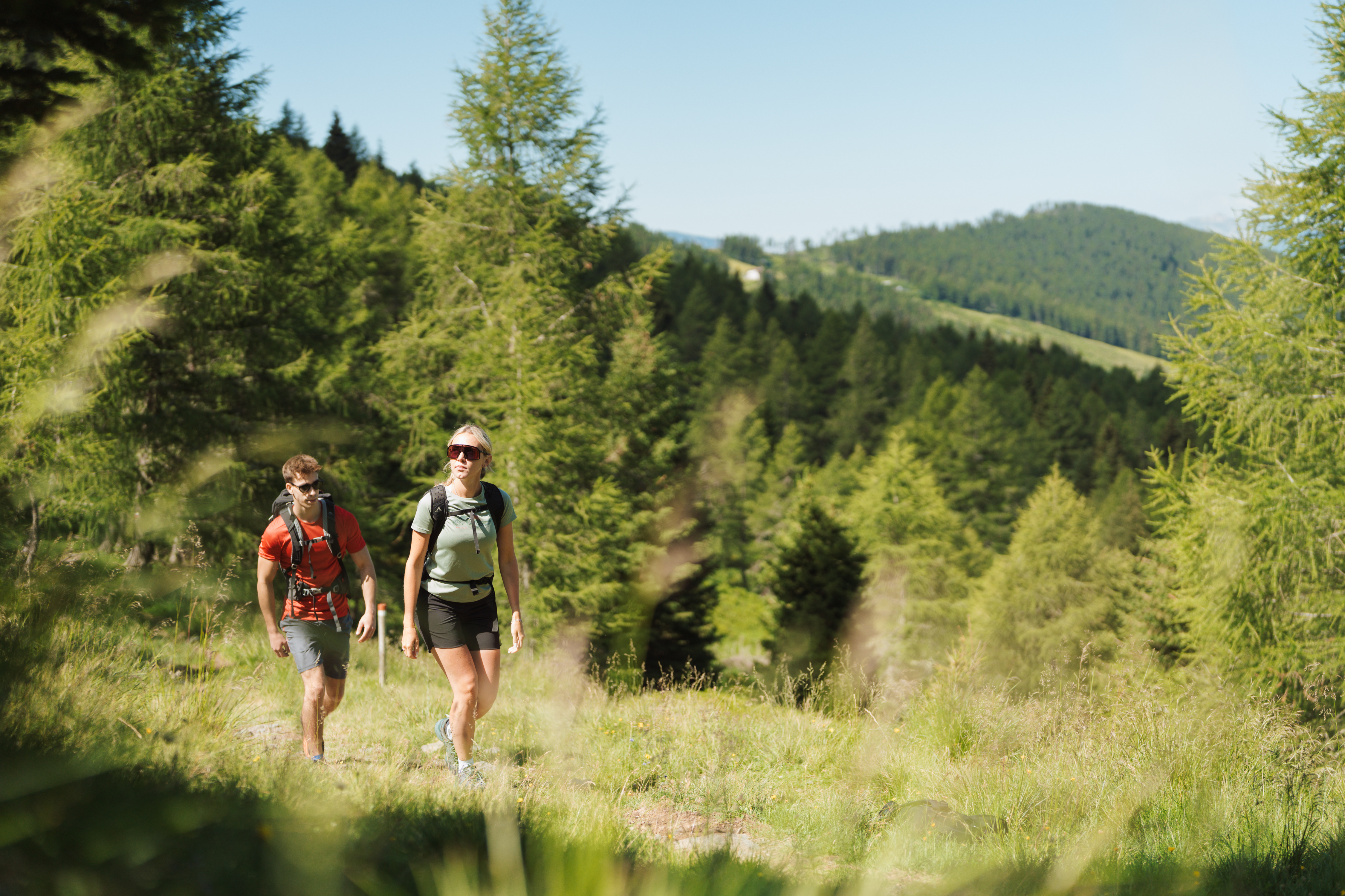 Escursioni facili in Trentino: i percorsi nella natura della Valsugana
