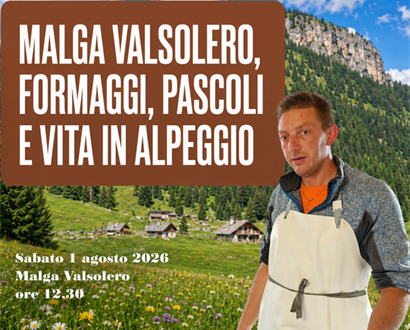 Road to Terra Madre: Malga Valsolero, formaggi, pascoli e vita in alpeggio