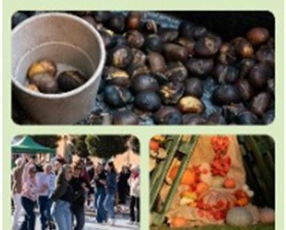 Kastanjebraser van de Pro Loco Borgo Valsugana