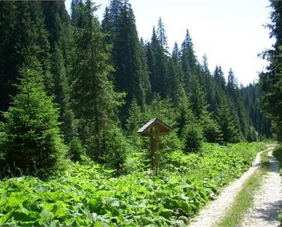 Scoprire: trekking guidato 