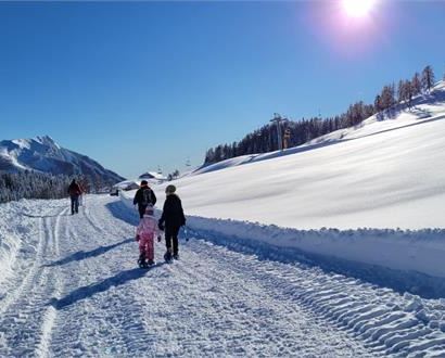 Ciaspolata al tramonto al Passo Brocon