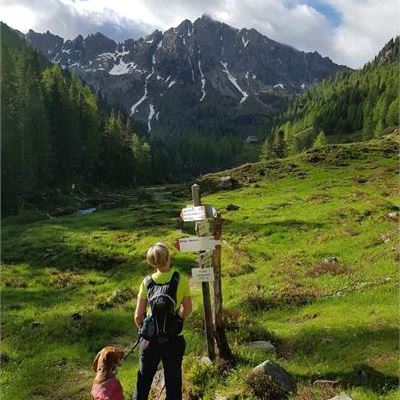 Sentieri in Valsugana con il cane