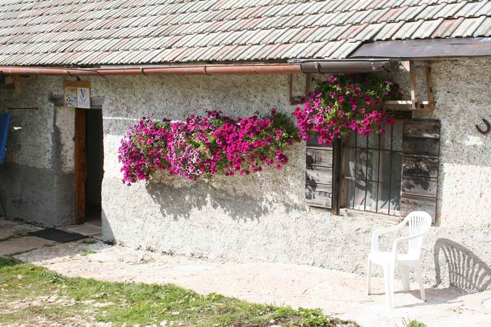 Malga Zanca