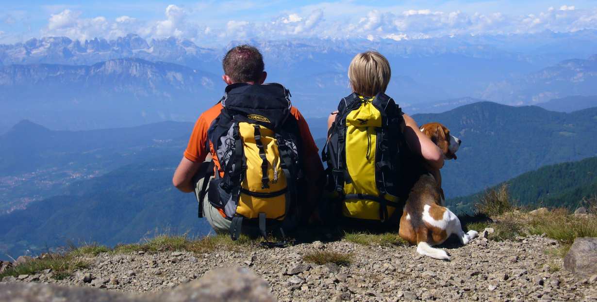 Fare trekking in montagna con il cane