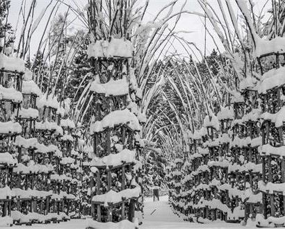 Winter in the nature: Ascolta, osserva, respira